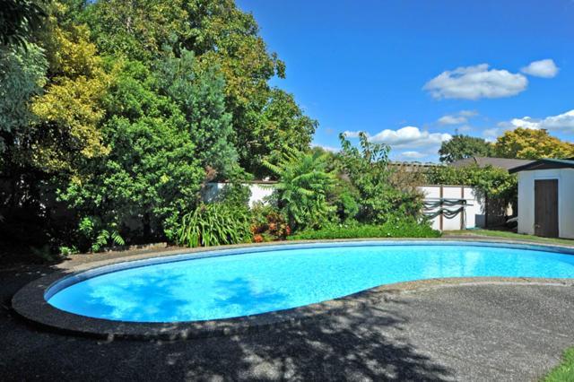 A'La Vista Motel Palmerston North Buitenkant foto